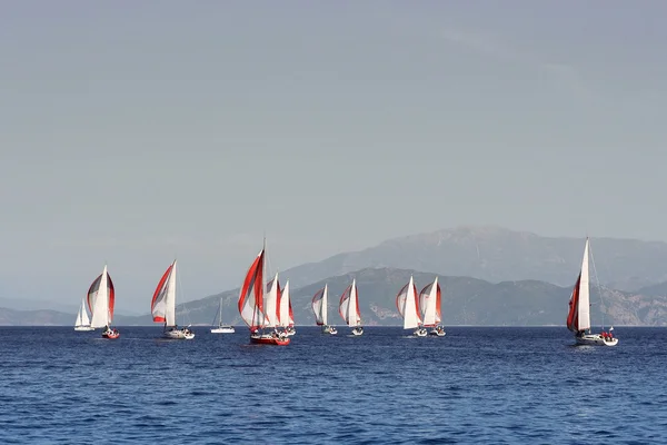 Sea regatta — Stock Photo, Image