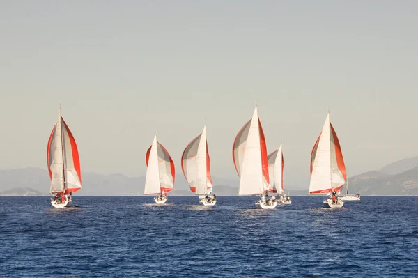 Red and white sails — Stock Photo, Image