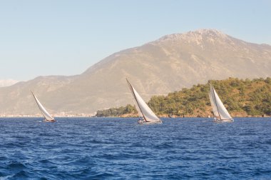 mavi su beyaz yelken