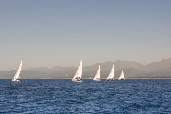 Regatta and the mountains in the haze — Stock Photo, Image