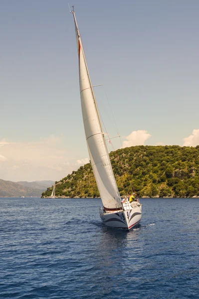 Por la costa verde — Foto de Stock