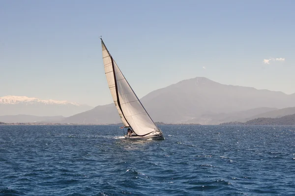 One in the sea — Stock Photo, Image