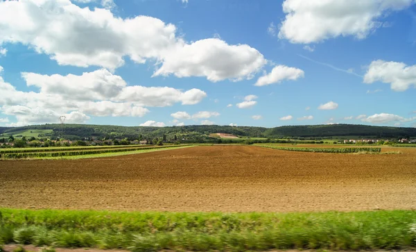 Field along the road — Stock Photo, Image