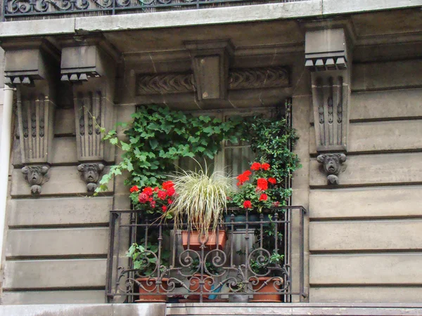Bir balkon altında çiçekler — Stok fotoğraf