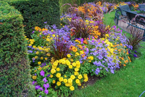 Panchine e fiori — Foto Stock