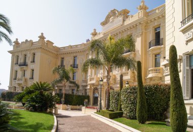 Dekoratif çalılar ve ağaçlar