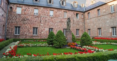 Çiçekler bahçede çim