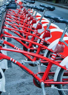 Park Bisiklet Kiralama