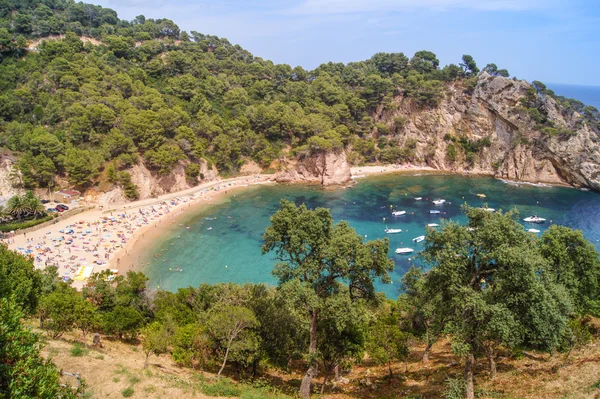 People on the beach and boats in the bay — Stock Photo, Image