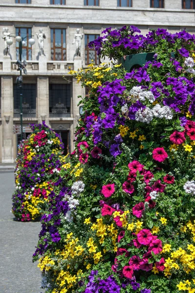 Flowers on the street — Stock Photo, Image