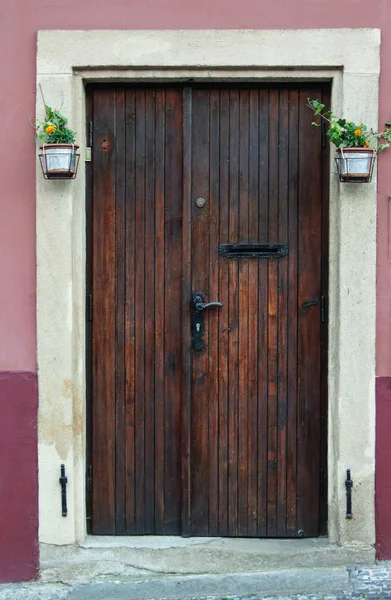 Горшки с цветами у двери — стоковое фото