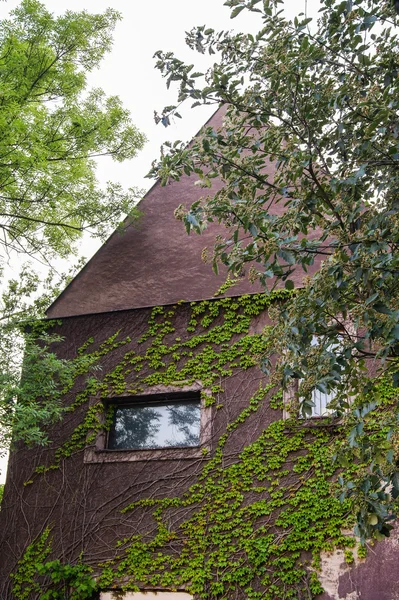 Mur de la maison derrière les arbres — Photo