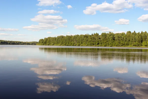 Coast forest river — Stock Photo, Image