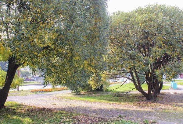 Parque de la ciudad de otoño — Foto de Stock