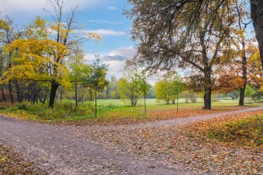 Sonbahar parkında izler.