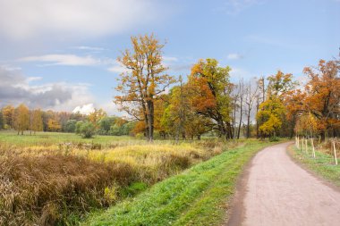 sonbahar park izlemek.
