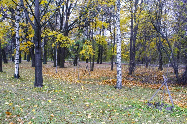 Осень в городском парке. — стоковое фото