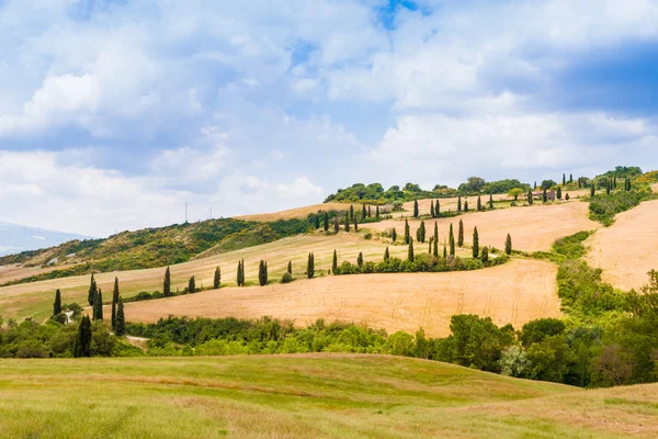 Estrada sinuosa flanqueada com ciprestes em crete senesi Toscana, Ita — Fotografia de Stock