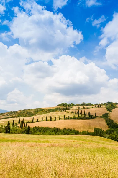 Slingrande väg flankerad med cypresser i crete senesi Toscana, Ita — Stockfoto