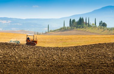 Crete Senesi, Tuscany'de çiftçilik