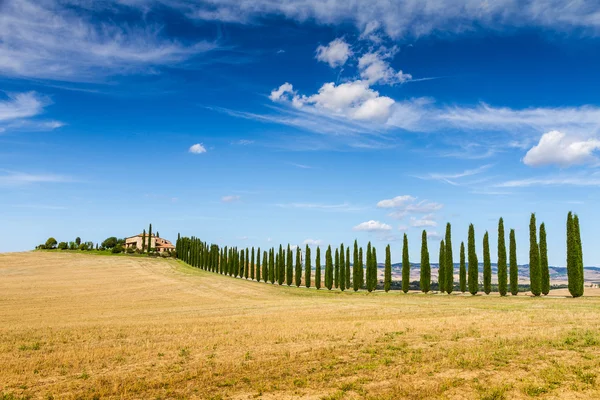 Landstraße flankiert von Zypressen in der Toskana, Italien — Stockfoto