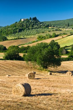 haycock and trees in sunny tuscan countryside, Italy clipart