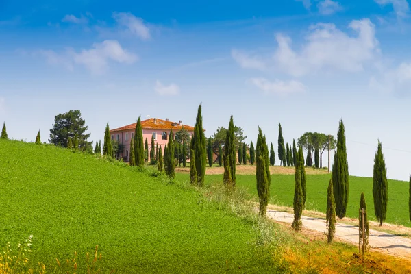 Maison de campagne avec cyprès en Toscane, Italie — Photo