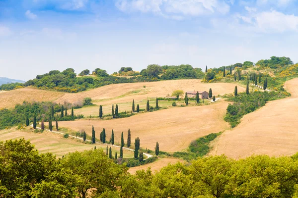 Sinuoso camino flanqueado de cipreses en creta senesi Toscana, Ita — Foto de Stock