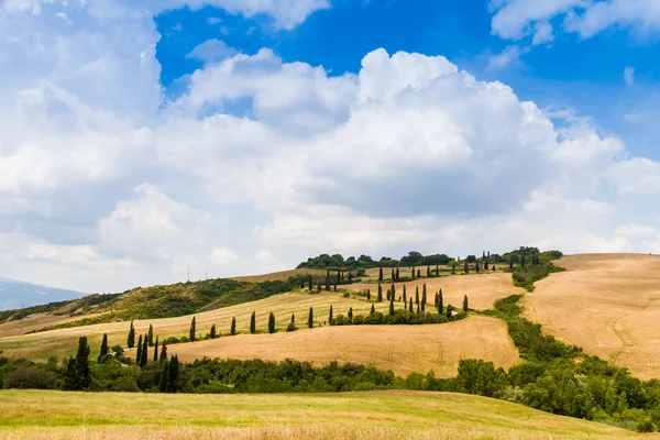 Estrada sinuosa flanqueada com ciprestes em crete senesi Toscana, Ita — Fotografia de Stock