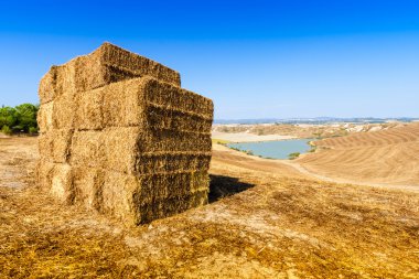 Landscape in Crete Senesi, Tuscany, Italy clipart