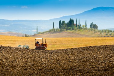 Crete Senesi, Tuscany'de çiftçilik