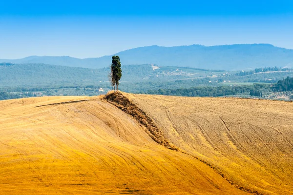 Krajina v Crete Senesi, Toskánsko, Itálie — Stock fotografie