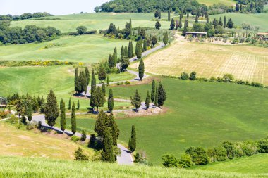 Girit Senesi Toskana dolambaçlı yol