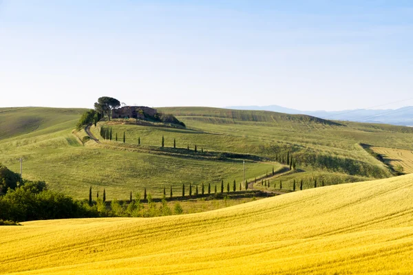 Campos en Toscana, Italia — Foto de Stock