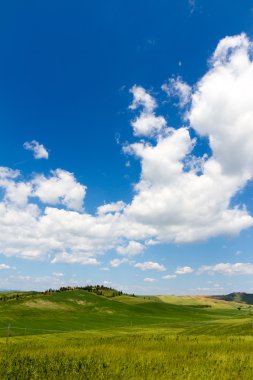 Alanları Toskana, İtalya