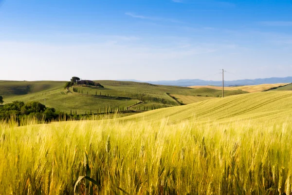 Campos en Toscana, Italia — Foto de Stock