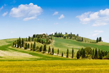 Fields in Tuscany, Italy clipart