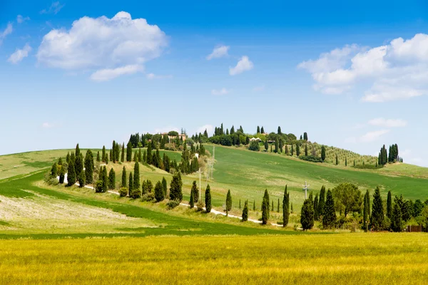 Felder in der Toskana, Italien — Stockfoto