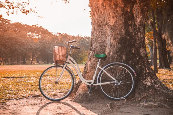 Белый велосипед в зеленом парке — стоковое фото