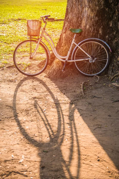 Biały szlak rowerowy zielony park — Zdjęcie stockowe