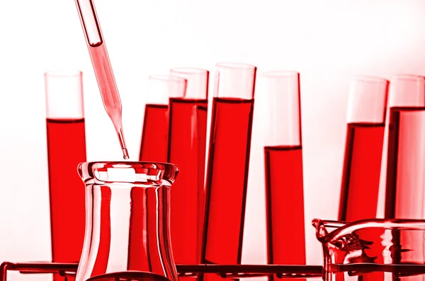 Science laboratory test tubes — Stock Photo, Image