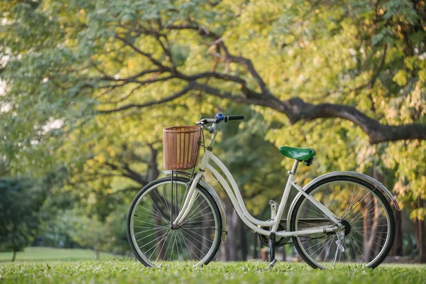 White bicycle in green park — Stock Photo, Image