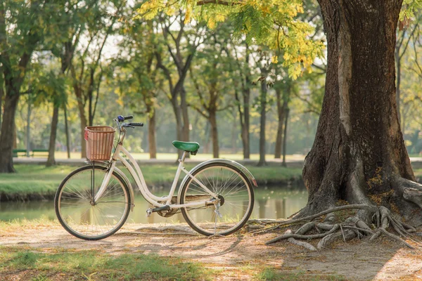 yeşil park Beyaz Bisiklet