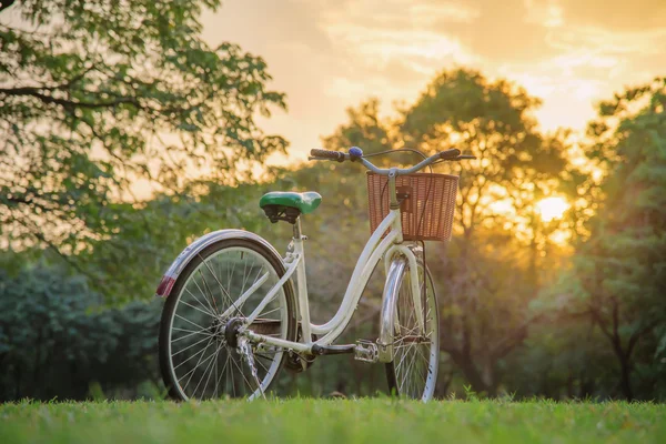 緑豊かな公園で白い自転車 — ストック写真