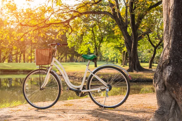 Weißes Fahrrad im grünen Park — Stockfoto