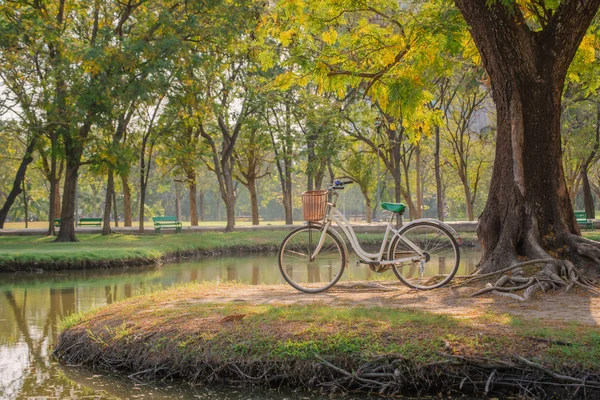 Bicicleta branca no parque verde — Fotografia de Stock