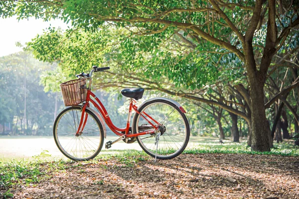 Bicicleta roja en el parque verde —  Fotos de Stock