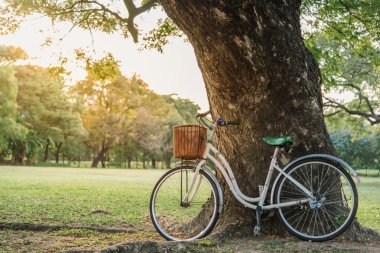 yeşil park Beyaz Bisiklet