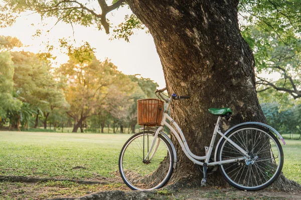 Белый велосипед в зеленом парке — стоковое фото