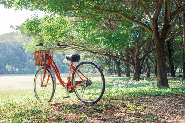 緑豊かな公園で赤い自転車 — ストック写真